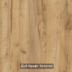Шкаф купе без зеркала "Ольга-Лофт 10.1" в Озерске - ozersk.ok-mebel.com | фото 5