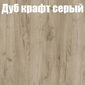 Шкаф-купе Эдем 1.5 (Дуб Крафт серый/Бетонный камень) двери ЛДСП в Озерске - ozersk.ok-mebel.com | фото 4