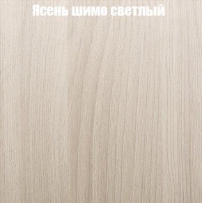 Шкаф-купе «ТАНДЕМ» 2-х дверный в алюминиевом профиле (Дверь ЛДСП+ЛДСП) 1200/h2200 в Озерске - ozersk.ok-mebel.com | фото 6