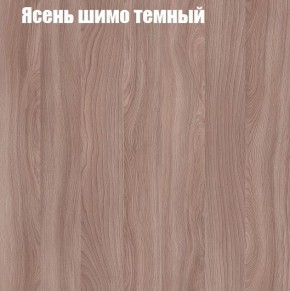 Шкаф-купе «ТАНДЕМ» 2-х дверный в алюминиевом профиле (Дверь ЛДСП+ЛДСП) 1200/h2200 в Озерске - ozersk.ok-mebel.com | фото 7