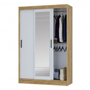 Шкаф-купе Тео ШКК-02 (крафт/белый) в Озерске - ozersk.ok-mebel.com | фото 3