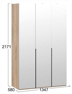 Шкаф платяной Порто СМ-393.07.111 в Озерске - ozersk.ok-mebel.com | фото 3