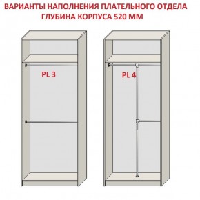 Шкаф распашной серия «ЗЕВС» (PL3/С1/PL2) в Озерске - ozersk.ok-mebel.com | фото 10