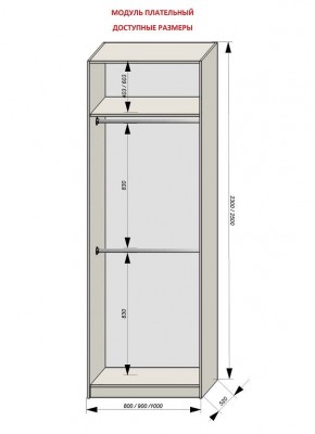 Шкаф распашной серия «ЗЕВС» (PL3/С1/PL2) в Озерске - ozersk.ok-mebel.com | фото 12