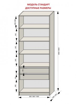 Шкаф распашной серия «ЗЕВС» (PL3/С1/PL2) в Озерске - ozersk.ok-mebel.com | фото 13