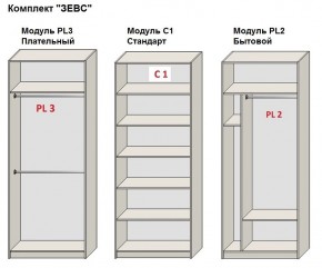 Шкаф распашной серия «ЗЕВС» (PL3/С1/PL2) в Озерске - ozersk.ok-mebel.com | фото 2