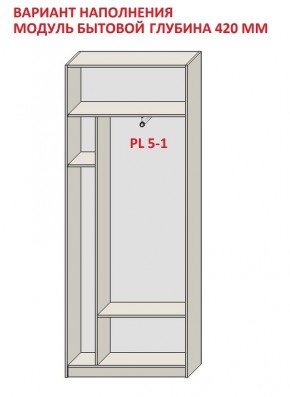 Шкаф распашной серия «ЗЕВС» (PL3/С1/PL2) в Озерске - ozersk.ok-mebel.com | фото 4