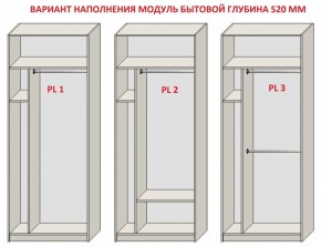 Шкаф распашной серия «ЗЕВС» (PL3/С1/PL2) в Озерске - ozersk.ok-mebel.com | фото 5