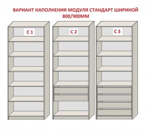 Шкаф распашной серия «ЗЕВС» (PL3/С1/PL2) в Озерске - ozersk.ok-mebel.com | фото 6