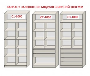 Шкаф распашной серия «ЗЕВС» (PL3/С1/PL2) в Озерске - ozersk.ok-mebel.com | фото 7