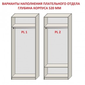 Шкаф распашной серия «ЗЕВС» (PL3/С1/PL2) в Озерске - ozersk.ok-mebel.com | фото 9