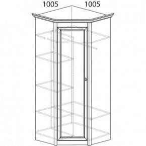 Шкаф угловой №662 "Флоренция" Фасад глухой (угол 1005*1005) Дуб оксфорд в Озерске - ozersk.ok-mebel.com | фото 3