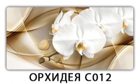 Стол раздвижной Трилогия с фотопечатью Орхидея R041 в Озерске - ozersk.ok-mebel.com | фото 10