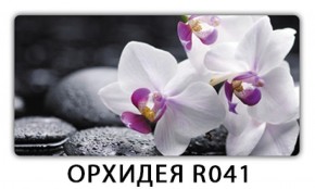 Стол раздвижной Трилогия с фотопечатью Орхидея R041 в Озерске - ozersk.ok-mebel.com | фото 9