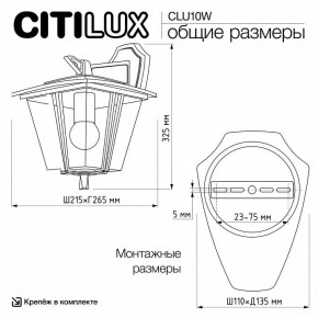 Светильник на штанге Citilux FORTS CLU10W в Озерске - ozersk.ok-mebel.com | фото 9