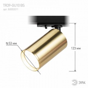 Светильник на штанге Эра  TR39-GU10 BS в Озерске - ozersk.ok-mebel.com | фото 6