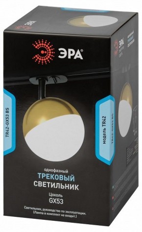 Светильник на штанге Эра  TR42-GX53 BS в Озерске - ozersk.ok-mebel.com | фото 6