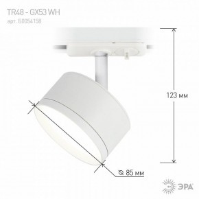 Светильник на штанге Эра  TR48 - GX53 WH в Озерске - ozersk.ok-mebel.com | фото 4