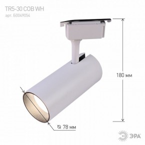 Светильник на штанге Эра  TR5-30 COB WH в Озерске - ozersk.ok-mebel.com | фото 6