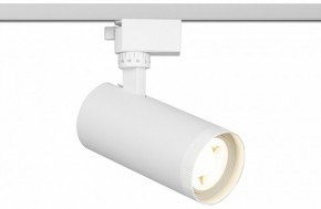 Светильник на штанге Эра  TR59 - 2040 WH в Озерске - ozersk.ok-mebel.com | фото