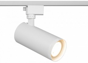 Светильник на штанге Эра  TR59 - 3030 WH в Озерске - ozersk.ok-mebel.com | фото