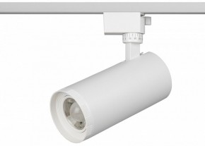 Светильник на штанге Эра  TR59 - 3030 WH в Озерске - ozersk.ok-mebel.com | фото 2