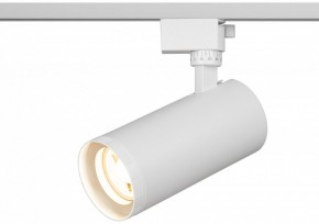 Светильник на штанге Эра  TR59 - 3030 WH в Озерске - ozersk.ok-mebel.com | фото 5