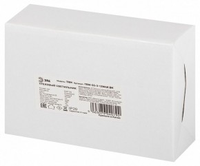 Светильник на штанге Эра  TRM-S5-3-12W4K-BK в Озерске - ozersk.ok-mebel.com | фото 8