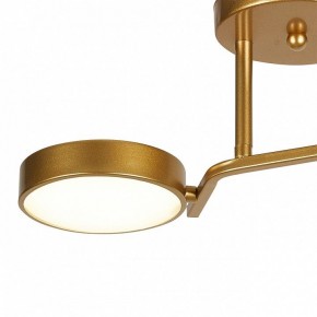 Светильник на штанге Escada Starlight 10273/2LED в Озерске - ozersk.ok-mebel.com | фото 4