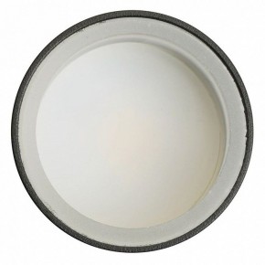 Светильник на штанге Feron ML1001 51371 в Озерске - ozersk.ok-mebel.com | фото 4