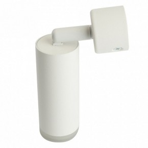 Светильник на штанге Feron ML1021 51390 в Озерске - ozersk.ok-mebel.com | фото 3