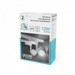 Светильник на штанге Gauss Track Light TR054 в Озерске - ozersk.ok-mebel.com | фото 5