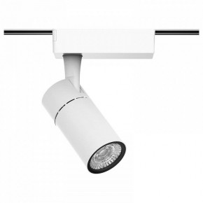 Светильник на штанге Gauss Track Light TR059 в Озерске - ozersk.ok-mebel.com | фото