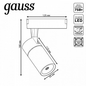 Светильник на штанге Gauss Track Light TR060 в Озерске - ozersk.ok-mebel.com | фото 5