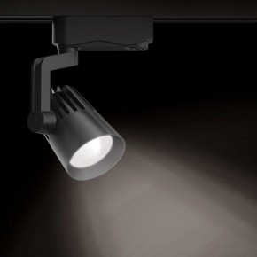 Светильник на штанге Gauss Track Light TR061 в Озерске - ozersk.ok-mebel.com | фото 2