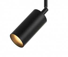 Светильник на штанге Kink Light Рия 07621-1,19 в Озерске - ozersk.ok-mebel.com | фото 2