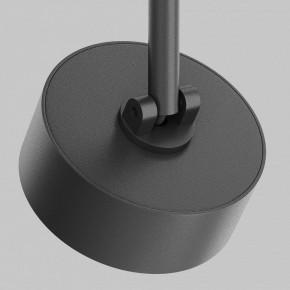 Светильник на штанге Maytoni Lens TR217-4-15WTW-DD-B в Озерске - ozersk.ok-mebel.com | фото 11