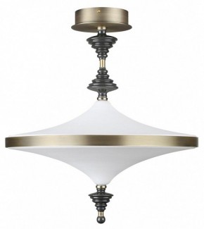 Светильник на штанге Odeon Light Ula 5404/43CL в Озерске - ozersk.ok-mebel.com | фото