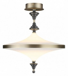Светильник на штанге Odeon Light Ula 5404/43CL в Озерске - ozersk.ok-mebel.com | фото 2