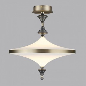 Светильник на штанге Odeon Light Ula 5404/43CL в Озерске - ozersk.ok-mebel.com | фото 3