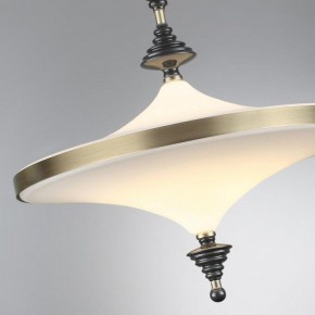 Светильник на штанге Odeon Light Ula 5404/43CL в Озерске - ozersk.ok-mebel.com | фото 6