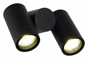 Светильник на штанге ST-Luce Ecollo SL9011.402.02 в Озерске - ozersk.ok-mebel.com | фото 3