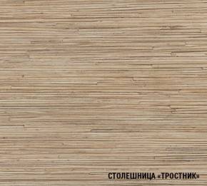 ТОМИЛЛА Кухонный гарнитур Оптима 5 (2700*1600 мм ) в Озерске - ozersk.ok-mebel.com | фото 6