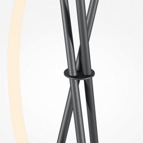 Торшер Maytoni Crochet MOD369FL-L36B3K в Озерске - ozersk.ok-mebel.com | фото 8