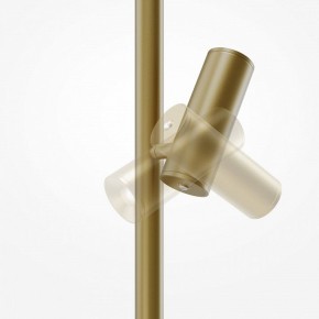 Торшер Maytoni Thin MOD395FL-L28BS3K в Озерске - ozersk.ok-mebel.com | фото 6