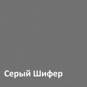 Юнона Шкаф торцевой 13.221 в Озерске - ozersk.ok-mebel.com | фото 2